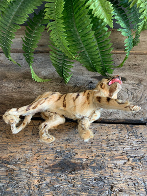 A Victorian taxidermy miniature papier-mâché tiger figure