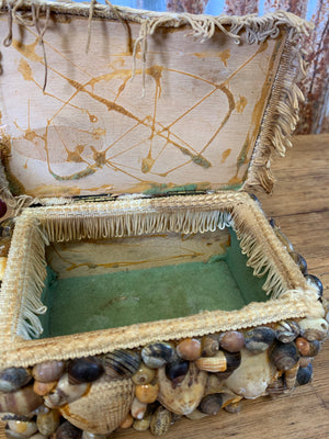 A large seashell encrusted trinket box