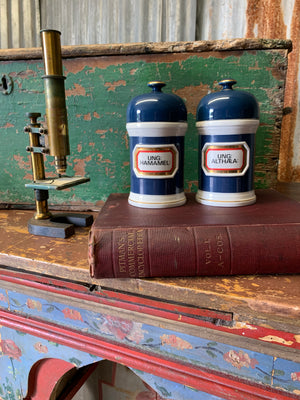 A pair of blue porcelain apothecary jars with gold glass labels