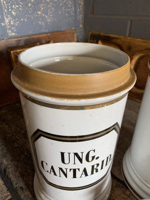 A pair of very large ceramic apothecary jars