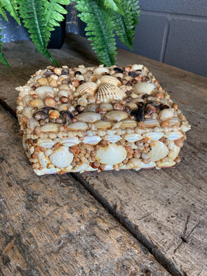 A very large seashell encrusted trinket box