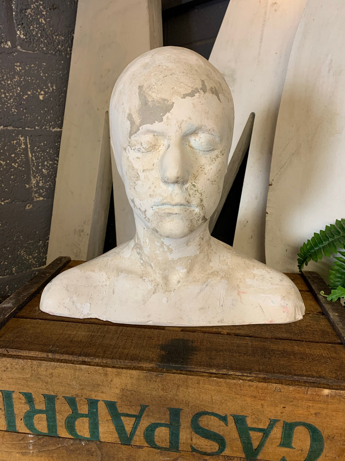 A life size bust in white plaster