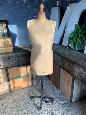 A Levine mannequin on a Kennett and Lindsell base