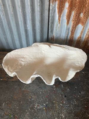 A white plaster Giant Clam Shell sculpture (Tridacna Gigas)- extra large