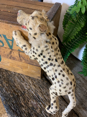 A Victorian taxidermy miniature papier-mâché leopard lion figure