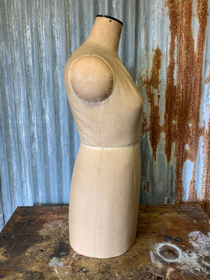 A Kennett and Lindsell mannequin - size 20