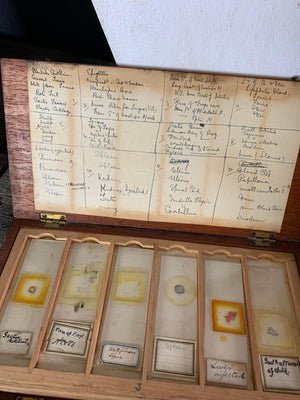 A collection of rare human pathology microscope slides in a bespoke case