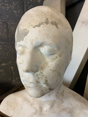 A life size bust in white plaster