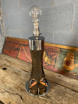 A large taxidermy hoof table lamp