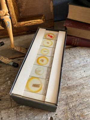 A collection of rare microscope slides