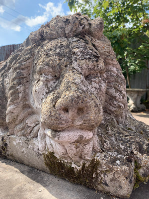 A very large composition stone recumbent lion