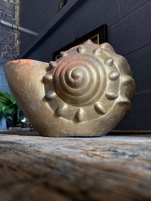 A large terracotta seashell planter