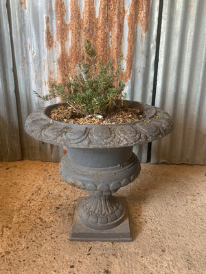 A large grey cast iron campana urn