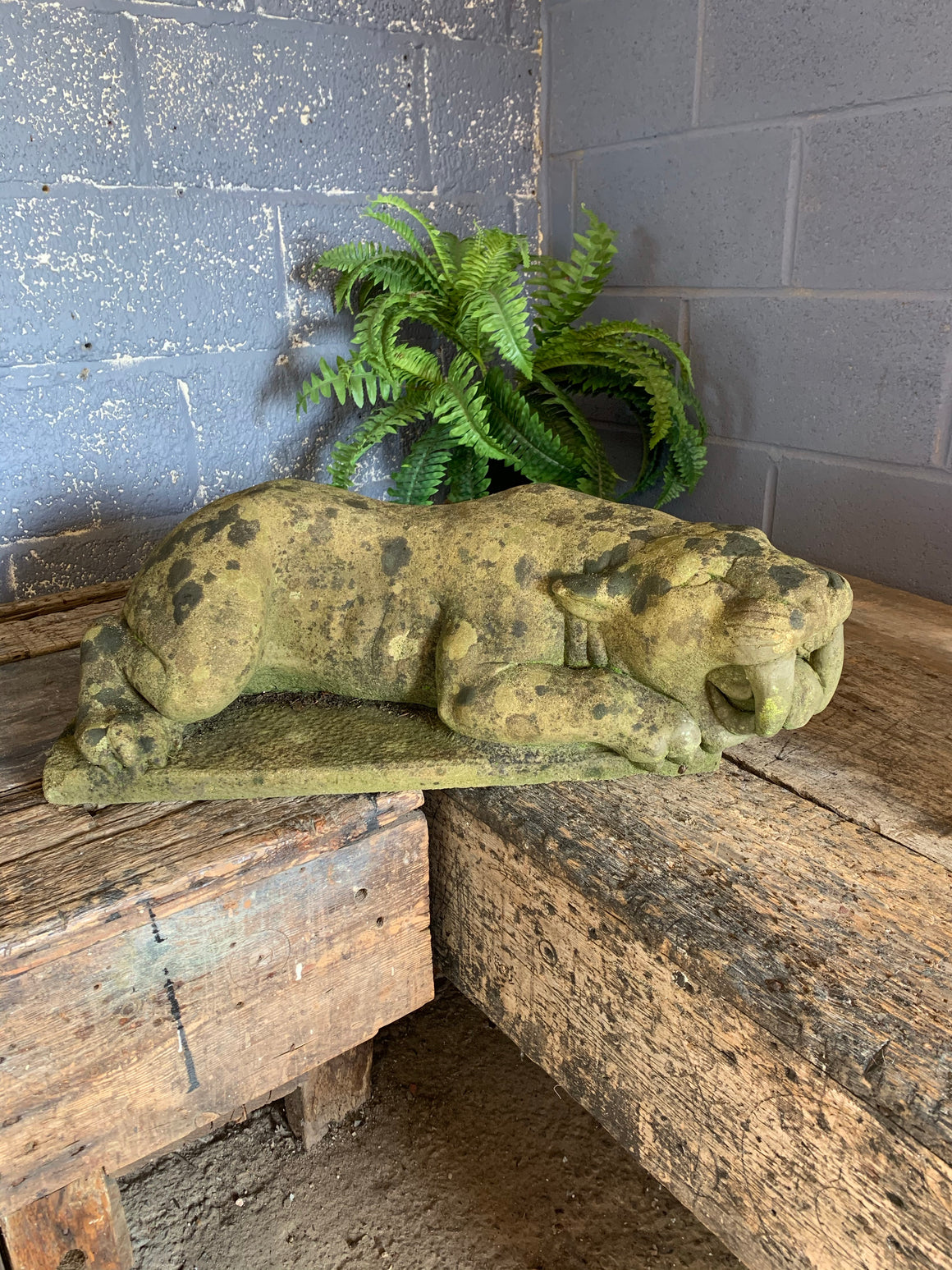 A large cast stone garden statue of a sabre tooth tiger