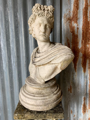 A cast stone bust of Apollo on a column pedestal #1