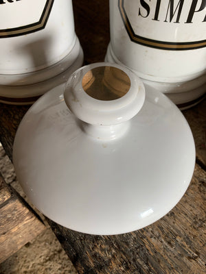 A pair of very large ceramic apothecary jars