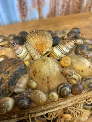 A large seashell encrusted trinket box