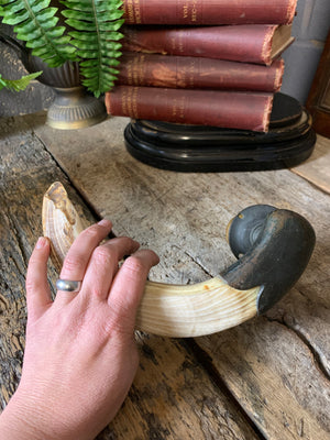 A very large hippo tooth door handle with bronze mount