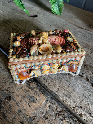 A small seashell encrusted trinket box