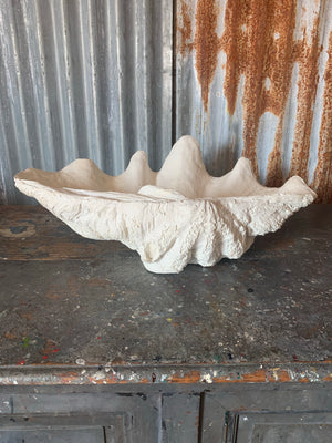 A white plaster Giant Clam Shell sculpture (Tridacna Gigas)- extra large