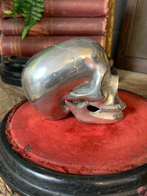 A silver plated skull model with articulated jaw