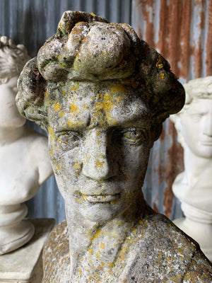 A well weathered cast stone bust of Michelangelo's David on a pedestal