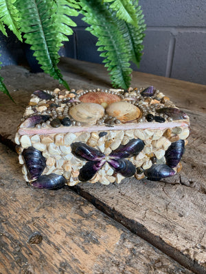 A medium seashell encrusted trinket box
