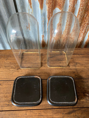 A rare pair of square ebonised glass display domes