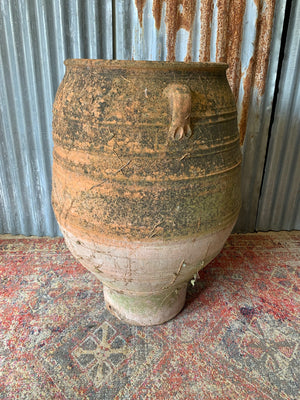 A very large terracotta olive jar