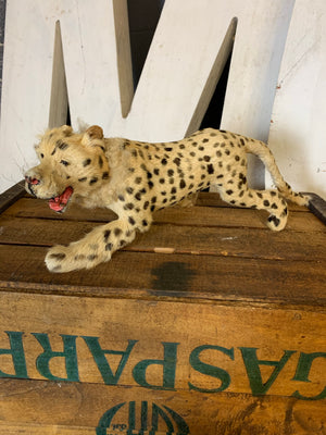 A Victorian taxidermy miniature papier-mâché leopard lion figure
