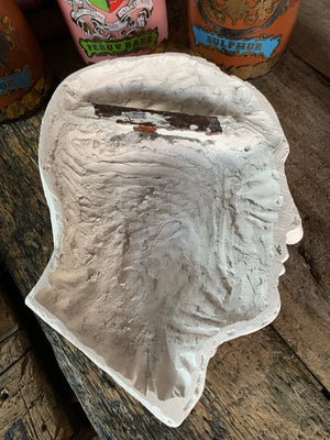A plaster anatomical écorché head