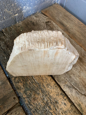 A large ancient petrified wood specimen