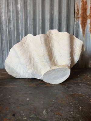 A white plaster Giant Clam Shell sculpture (Tridacna Gigas)