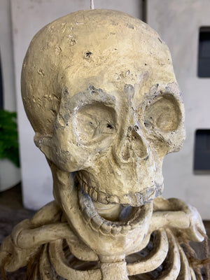 A papier-mâché skeleton model in the Dia de Muertos/calavera style