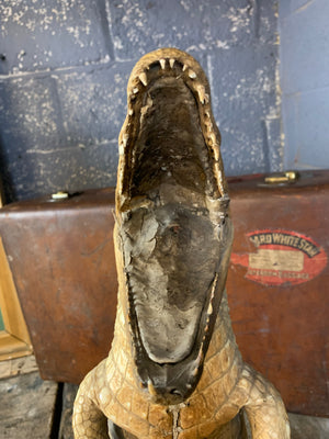 A large anthropomorphic taxidermy crocodile "butler"