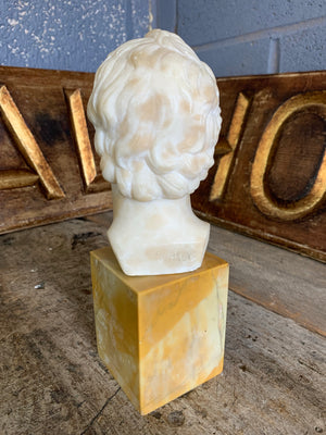 A marble and alabaster bust of Goethe by Gallet