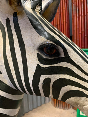 A life size model of a zebra foal