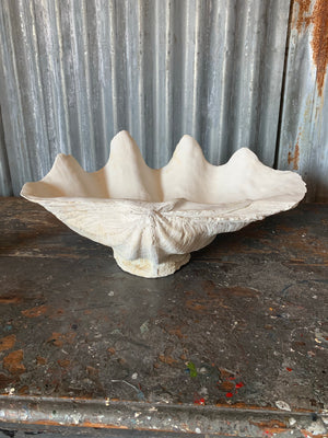 A white plaster Giant Clam Shell sculpture (Tridacna Gigas)