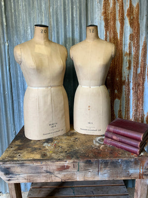 A Kennett and Lindsell mannequin - size 12