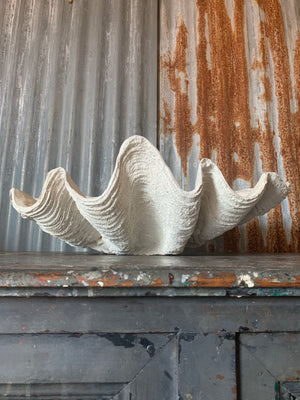 A white plaster Giant Clam Shell sculpture (Tridacna Gigas)- extra large