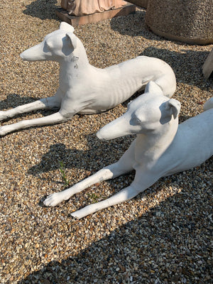 A pair of large white stone greyhound garden statues