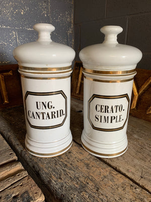 A pair of very large ceramic apothecary jars