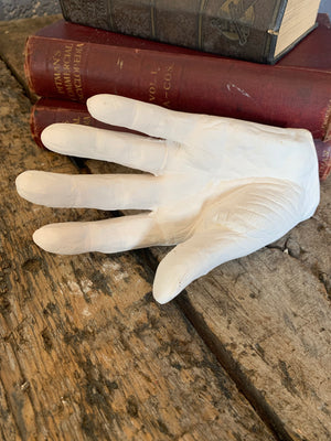 An artist's plaster hand study