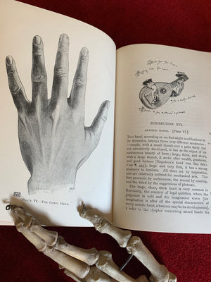 Antiquarian book ‘The Science of The Hand’ by D'Arpentigny 1895- Palmistry interest